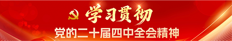 学习贯彻党的二十届四中全会精神